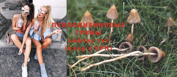 каннабис Баксан