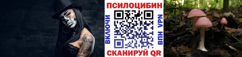 Псилоцибиновые грибы Magic Shrooms  Курильск 